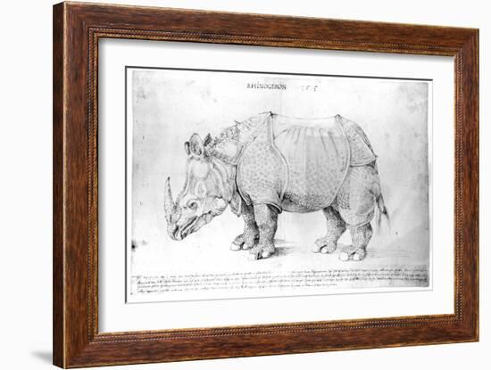 Rhinoceros, 1515-Albrecht Dürer-Framed Giclee Print