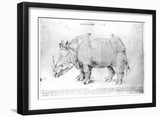 Rhinoceros, 1515-Albrecht Dürer-Framed Giclee Print