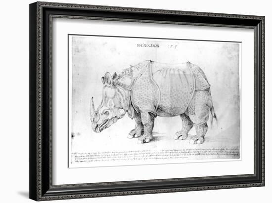 Rhinoceros, 1515-Albrecht Dürer-Framed Giclee Print