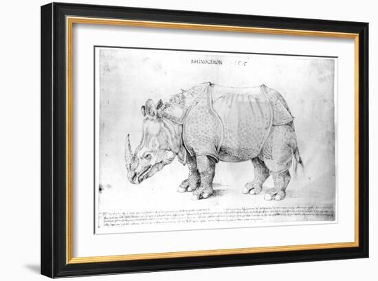 Rhinoceros, 1515-Albrecht Dürer-Framed Giclee Print