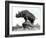 Rhinoceros, 1878, by Alfred Jacquemart-Adolphe Giraudon-Framed Photographic Print