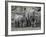 Rhinoceros and Her Youngster Hang Out in their Outdoor Enclosure at the Tierpark in Berlin-null-Framed Photographic Print