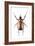 Rhinoceros Beetle-Lawrence Lawry-Framed Photographic Print