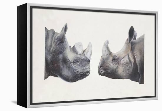 Rhinoceros Heads, Black Rhinoceros (Diceros Bicornis) and Rhinoceros (Genus)-null-Framed Premier Image Canvas