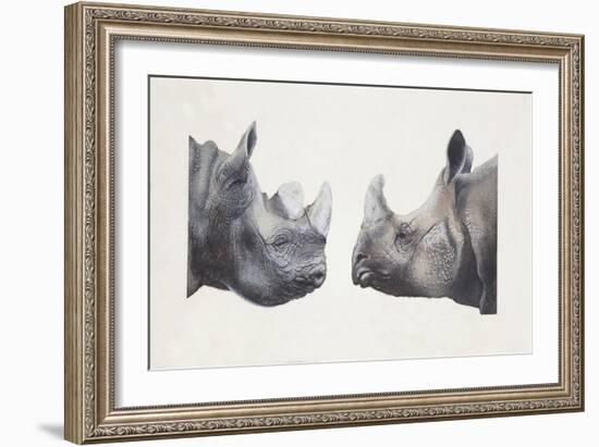 Rhinoceros Heads, Black Rhinoceros (Diceros Bicornis) and Rhinoceros (Genus)-null-Framed Giclee Print