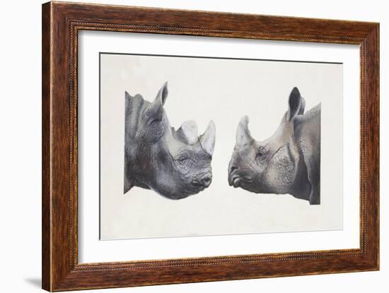 Rhinoceros Heads, Black Rhinoceros (Diceros Bicornis) and Rhinoceros (Genus)-null-Framed Giclee Print