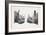 Rhinoceros Heads, Black Rhinoceros (Diceros Bicornis) and Rhinoceros (Genus)-null-Framed Giclee Print