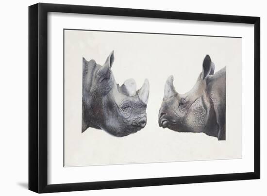 Rhinoceros Heads, Black Rhinoceros (Diceros Bicornis) and Rhinoceros (Genus)-null-Framed Giclee Print