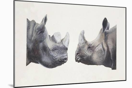Rhinoceros Heads, Black Rhinoceros (Diceros Bicornis) and Rhinoceros (Genus)-null-Mounted Giclee Print