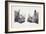 Rhinoceros Heads, Black Rhinoceros (Diceros Bicornis) and Rhinoceros (Genus)-null-Framed Giclee Print