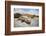 Rhinoceros Iguana (Cyclura Cornuta)-Reinhard Dirscherl-Framed Photographic Print