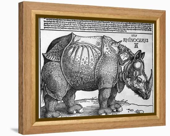 Rhinoceros, Print Given to Maximilian I by the King of Lisbon, 1515-Albrecht Durer-Framed Premier Image Canvas