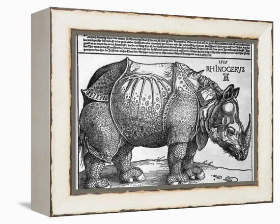 Rhinoceros, Print Given to Maximilian I by the King of Lisbon, 1515-Albrecht Durer-Framed Premier Image Canvas