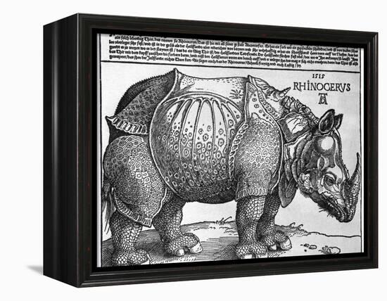 Rhinoceros, Print Given to Maximilian I by the King of Lisbon, 1515-Albrecht Durer-Framed Premier Image Canvas