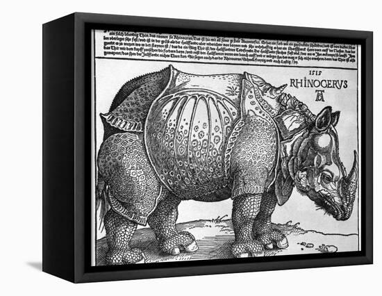 Rhinoceros, Print Given to Maximilian I by the King of Lisbon, 1515-Albrecht Durer-Framed Premier Image Canvas