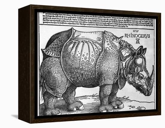 Rhinoceros, Print Given to Maximilian I by the King of Lisbon, 1515-Albrecht Durer-Framed Premier Image Canvas