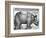 Rhinoceros, Print Given to Maximilian I by the King of Lisbon, 1515-Albrecht Durer-Framed Giclee Print