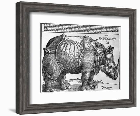 Rhinoceros, Print Given to Maximilian I by the King of Lisbon, 1515-Albrecht Durer-Framed Giclee Print