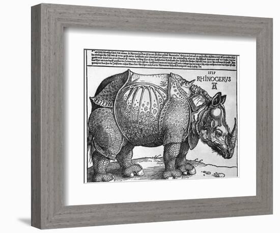 Rhinoceros, Print Given to Maximilian I by the King of Lisbon, 1515-Albrecht Durer-Framed Giclee Print