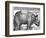 Rhinoceros, Print Given to Maximilian I by the King of Lisbon, 1515-Albrecht Durer-Framed Giclee Print