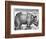 Rhinoceros, Print Given to Maximilian I by the King of Lisbon, 1515-Albrecht Durer-Framed Giclee Print