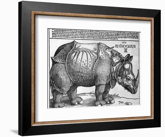 Rhinoceros, Print Given to Maximilian I by the King of Lisbon, 1515-Albrecht Durer-Framed Giclee Print