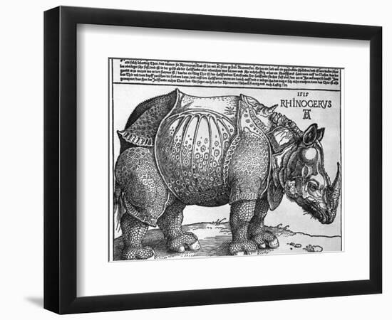 Rhinoceros, Print Given to Maximilian I by the King of Lisbon, 1515-Albrecht Durer-Framed Giclee Print