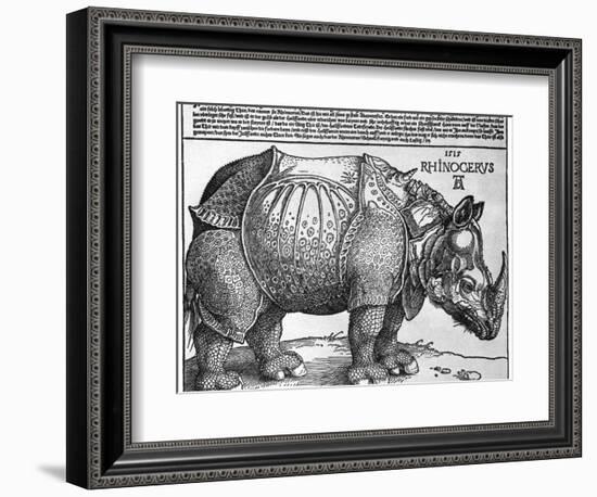 Rhinoceros, Print Given to Maximilian I by the King of Lisbon, 1515-Albrecht Durer-Framed Giclee Print