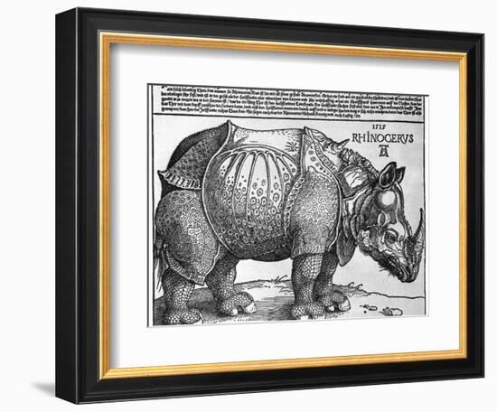 Rhinoceros, Print Given to Maximilian I by the King of Lisbon, 1515-Albrecht Durer-Framed Giclee Print