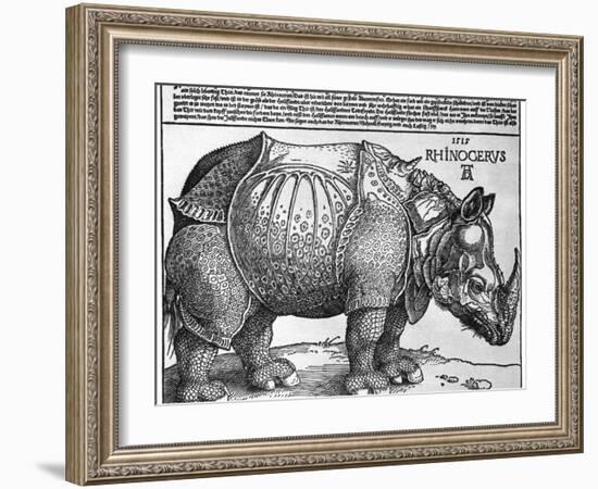 Rhinoceros, Print Given to Maximilian I by the King of Lisbon, 1515-Albrecht Durer-Framed Giclee Print