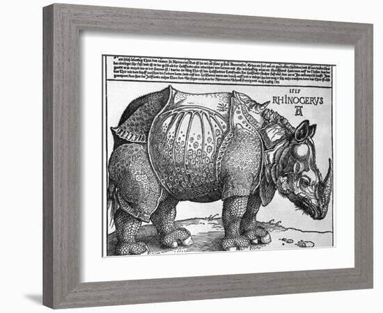 Rhinoceros, Print Given to Maximilian I by the King of Lisbon, 1515-Albrecht Durer-Framed Giclee Print