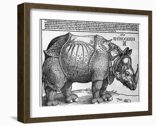 Rhinoceros, Print Given to Maximilian I by the King of Lisbon, 1515-Albrecht Durer-Framed Giclee Print