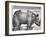 Rhinoceros, Print Given to Maximilian I by the King of Lisbon, 1515-Albrecht Durer-Framed Giclee Print