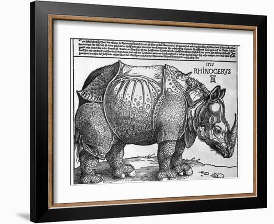 Rhinoceros, Print Given to Maximilian I by the King of Lisbon, 1515-Albrecht Durer-Framed Giclee Print