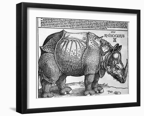 Rhinoceros, Print Given to Maximilian I by the King of Lisbon, 1515-Albrecht Durer-Framed Giclee Print