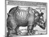 Rhinoceros, Print Given to Maximilian I by the King of Lisbon, 1515-Albrecht Durer-Mounted Giclee Print