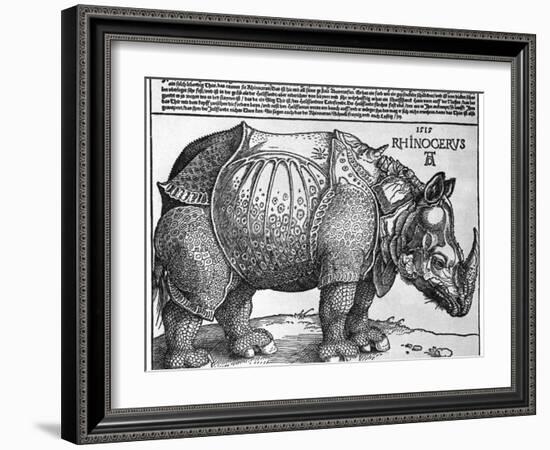 Rhinoceros, Print Given to Maximilian I by the King of Lisbon, 1515-Albrecht Durer-Framed Giclee Print