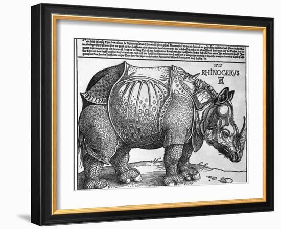 Rhinoceros, Print Given to Maximilian I by the King of Lisbon, 1515-Albrecht Durer-Framed Giclee Print