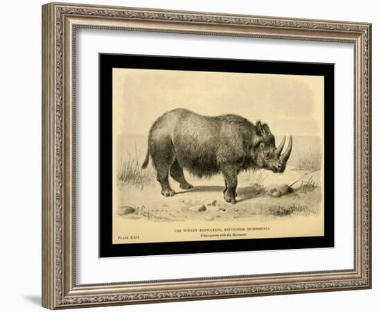 Rhinoceros Tichorhinus-Joseph Smit-Framed Art Print