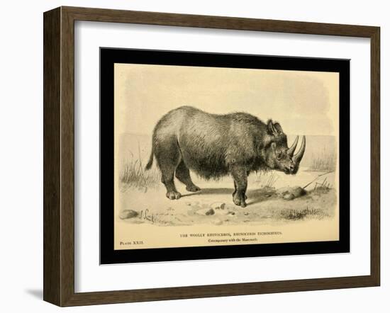 Rhinoceros Tichorhinus-Joseph Smit-Framed Art Print