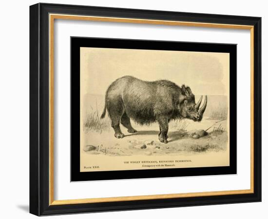 Rhinoceros Tichorhinus-Joseph Smit-Framed Art Print