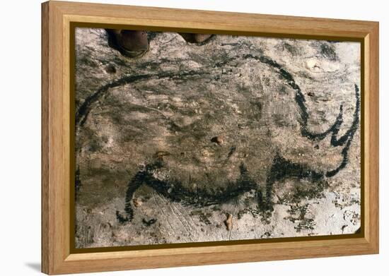 Rhinoceros, Upper Paleolithic-null-Framed Premier Image Canvas