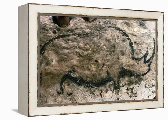 Rhinoceros, Upper Paleolithic-null-Framed Premier Image Canvas