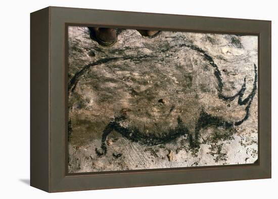 Rhinoceros, Upper Paleolithic-null-Framed Premier Image Canvas