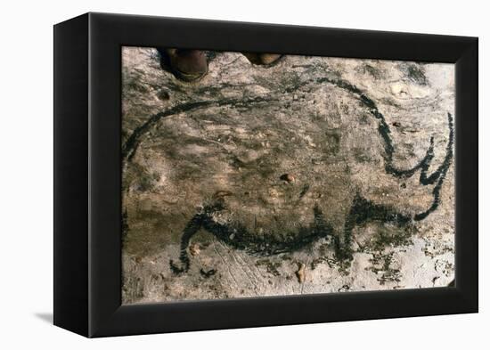 Rhinoceros, Upper Paleolithic-null-Framed Premier Image Canvas