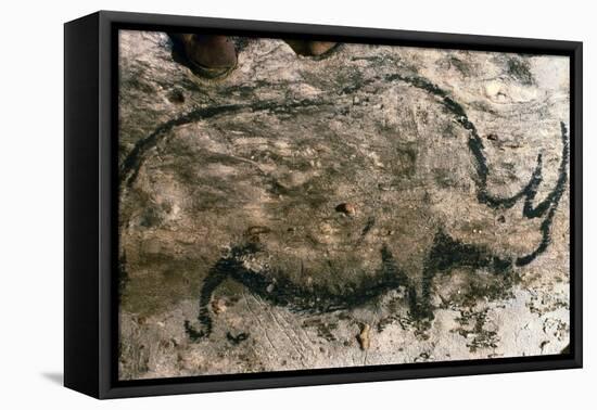 Rhinoceros, Upper Paleolithic-null-Framed Premier Image Canvas