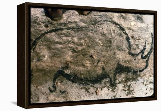 Rhinoceros, Upper Paleolithic-null-Framed Premier Image Canvas