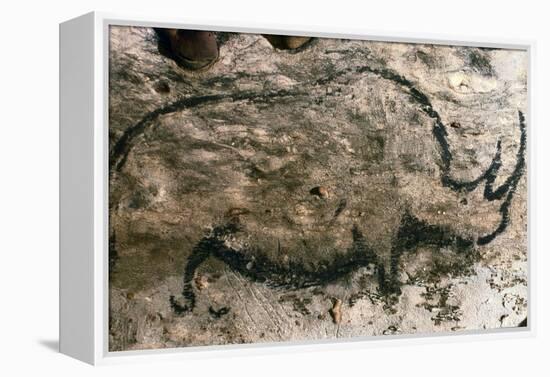 Rhinoceros, Upper Paleolithic-null-Framed Premier Image Canvas