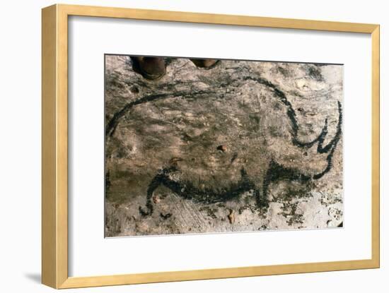 Rhinoceros, Upper Paleolithic-null-Framed Giclee Print