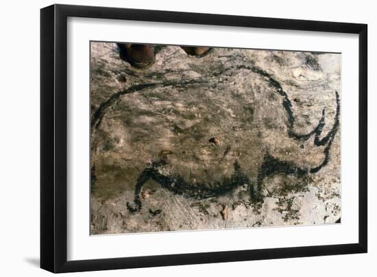 Rhinoceros, Upper Paleolithic-null-Framed Giclee Print